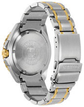 Charger l'image dans la galerie, BN0198-56H