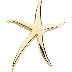 Starfish Brooch / Pendant