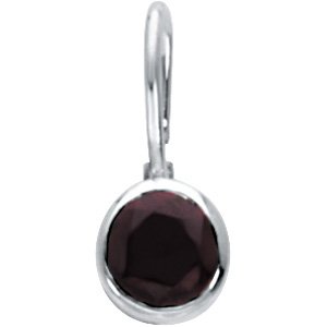 Sterling Silver January Birthstone 12.5x5.75 mm Hook Charm/Pendant