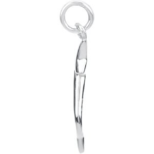 Dolphin Dangle
