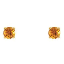 Load image into Gallery viewer, Youth Birthstone Earrings
