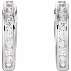 Hinged Hoop Earrings