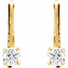 Load image into Gallery viewer, Youth Accented Lever Back Earrings
