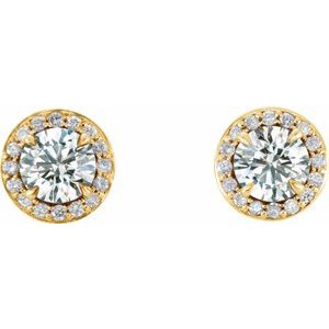 14K Yellow 3/4 CTW Diamond Halo-Style Earrings