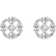Load image into Gallery viewer, Accented Earrings  
