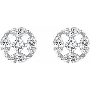 Accented Earrings  