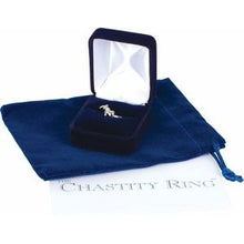 Load image into Gallery viewer, Cross &amp; Heart Chastity Ring
