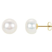 Load image into Gallery viewer, 14K Yellow 10 mm to 11 mm Freshwater Cultured Pearl Earrings
