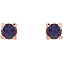 Load image into Gallery viewer, Round Lightweight Wire Basket Earrings
