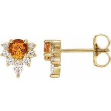 Load image into Gallery viewer, Accented Earrings
