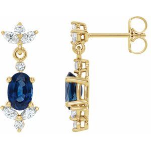 Accented Dangle Earrings 