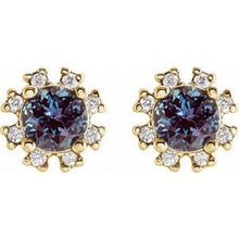 Load image into Gallery viewer, Halo-Style Earrings
