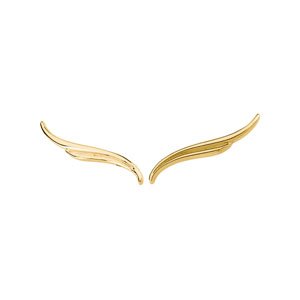 Wing Ear Climbers  