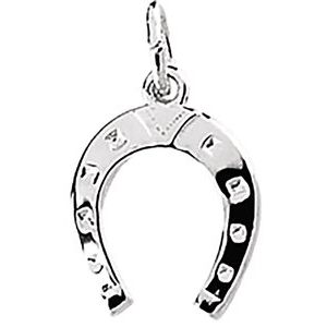 Horse Shoe Charm