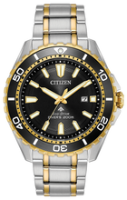 Load image into Gallery viewer, BN0194-57E PROMASTER DIVER
